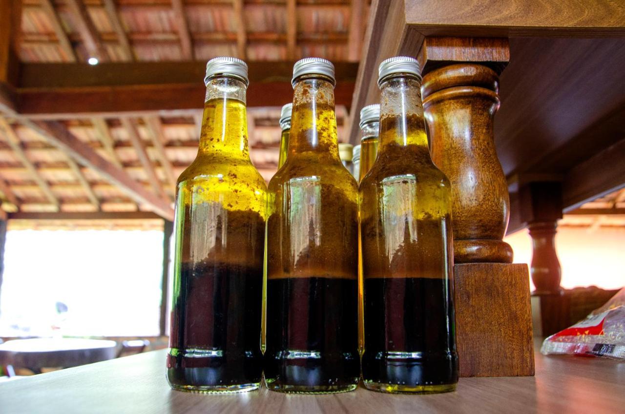 Hotel Fazenda Pedra Grande Visconde De Maua Εξωτερικό φωτογραφία